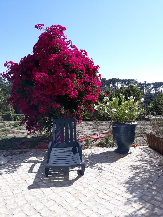 Plage Et Foret Pobral Экстерьер фото